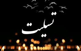 پیام تسلیت رئیس کل سازمان نظام پزشکی در پی درگذشت استاد دکتر محمدحسین بدخش